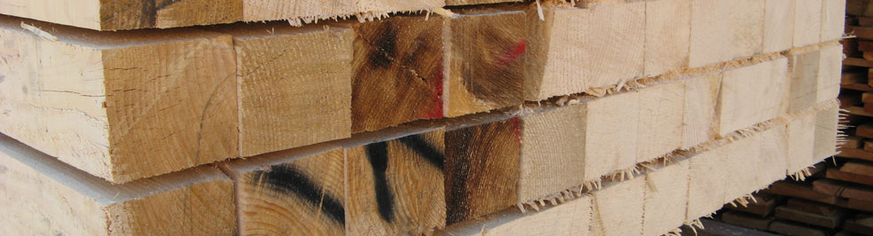 Tavole in legno in diverse misure e spessori - Segheria Bordiga in Trentino
